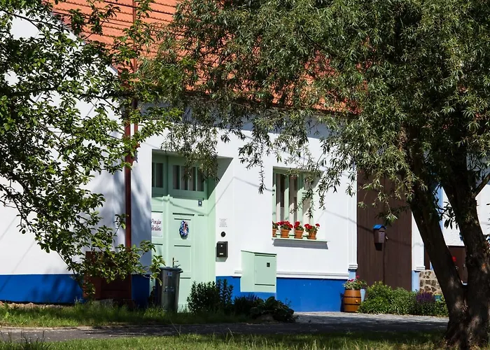 Berdina *